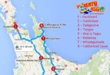 New Zealand Driving Tours: Auckland and Rotorua – Taupo
