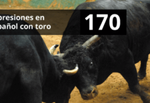 That's why El Toro is so cool