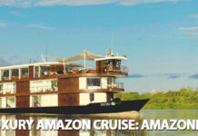The best cruises to take in the Amazon