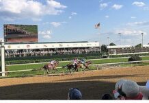 Kentucky Derby: Horse Race of the Year Travel Guide