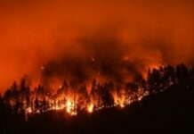Reno / Tahoe Wildfire Safety