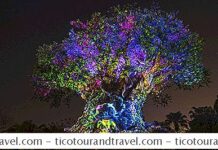 Disney’s Awaken Summer Promises New Experiences Across All Parks