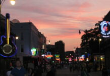 Top Things to Do in Memphis in March