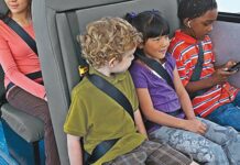 Seat Belt and Safety Laws in Arkansas