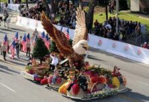 Seattle Thanksgiving Parade: The Complete Guide