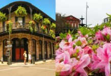 January in New Orleans: Weather, What to Pack, and What to See