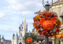 June at Disney World: Weather, What to Pack, and What to See