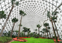 Chen Shan Botanical Garden in Shanghai