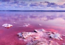 Discover the impressive pink lake found in Spain