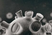 CDC with drastic warning: Corona “only a few mutations away” from escape variants