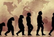 The most accepted theories about the origin of man