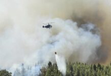 Because of extreme heat: Forest fires in the Mediterranean are raging in more and more holiday regions