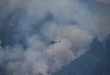 Fires rage in Mediterranean countries – risk of fire remains high