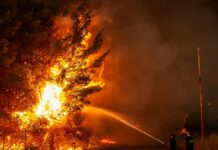 Greece: Wind stirs 86 new fires within 24 hours