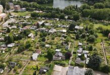 Allotments rediscovered in corona pandemic