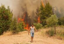 42 dead in fires in Algeria – situation in Italy and Greece remains critical