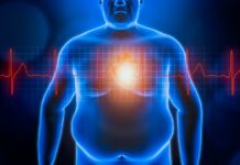 Reverse obesity in mice: will it work in humans?