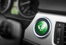 What are biofuels: definition, examples and their uses