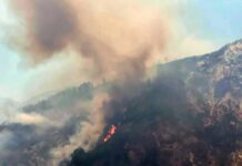 Slight improvement in forest fire areas