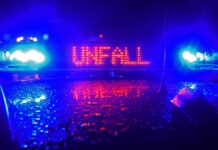 Fatal accident: motorcyclist collides with wild boar