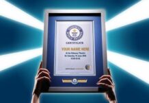 How much do you pay to get a Guinness Record?