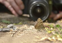 The best phrases from photographers to celebrate Photography Day 2021