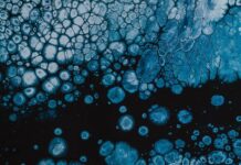 Postulates of cell theory