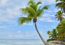 Exotic and paradisiacal islands of the Caribbean to visit in 2022