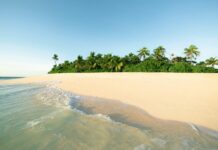 What can you take to a desert island?