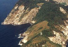 Queimada Grande Island in Brazil, why is it forbidden and you can't go?