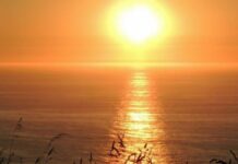 Find out how the mass of the sun is calculated and what it is for