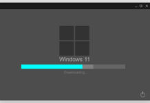 Windows 11 and the summer of love