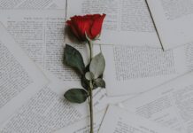 The 20 best love phrases to dedicate to your partner