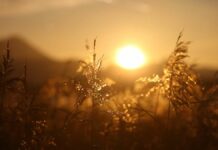 Crazy weather in Germany: After polar air, autumn heat rushes in