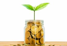 If social entrepreneurs are the future, why do they hardly have any support?