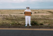 Mars: too small to live according to a latest study