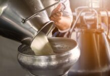 Cow's milk: myths, advantages and disadvantages