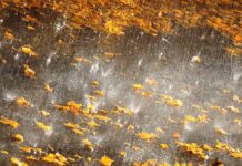 Weather in Hessen: These temperatures await you next week