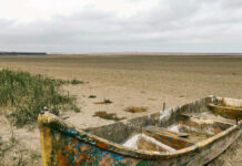 Drought in Europe (Arte): The disaster is homemade