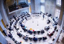 Plenary hall parties with prostitutes: AfD politicians under suspicion