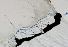 Melting glaciers are causing sea levels to rise
