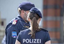 Knife attack in Vienna: police report four injured