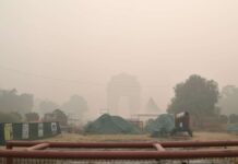 New Delhi suffers particularly badly from smog
