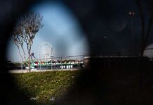 Eight dead at the Astroworld Festival in Houston – serious allegations against the organizers and the audience