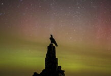 Breathtaking natural spectacle: that was the polar lights over Germany
