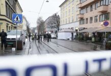 Knife attacker shot dead by police in Oslo