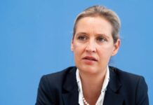 Alice Weidel: AfD chairman in quarantine after a positive corona test