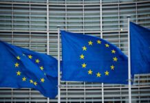 News agencies build European newsrooms