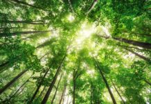 Only 2.9% of the Earth is considered ecologically intact