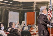 Epstein's private pilot testified in the Maxwell trial: Donald Trump was also among his guests